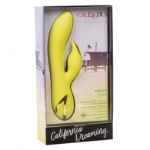 Image de California Dreaming™ Venice Vixen