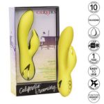 Image de California Dreaming™ Venice Vixen