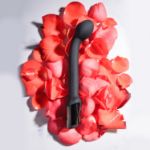 Image de ADAM'S RECHARGEABLE PROSTATE PROBE