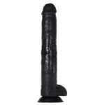 Image de 15" DARK RIDER