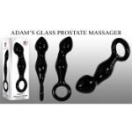 Image de Adam's Glass Prostate Massager